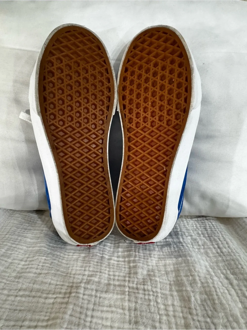 Vans Royal Blue Suede Low-Top Sneakers with White Stripe